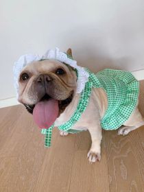 Creative Plaid Dog Dress Set (Option: Green-XL)